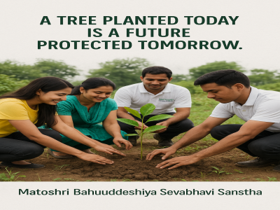 Tree Plantation